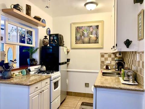 Modern kitchen with all appliances for cooking a meal. (micro,oven,dishwasher)