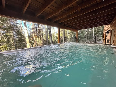 Huge swim spa for the whole family at Spruce!