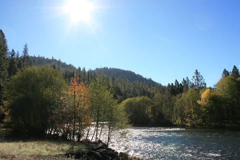 Rogue River from property