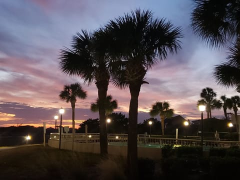 Late Evening Ocean Creek