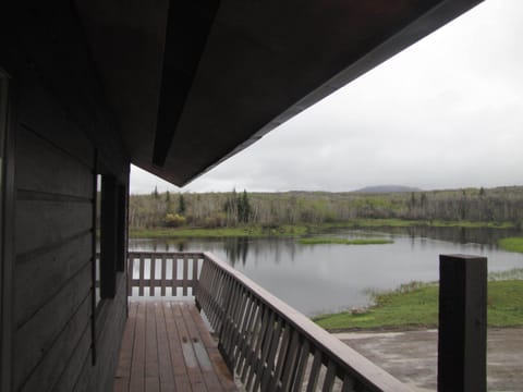 This cabin is so private and perfectly picturesque, lovely and peacefull 