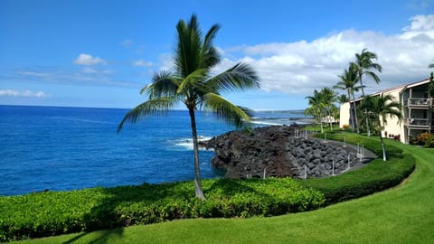 View from Lanai