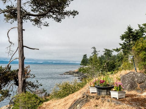 View from the path of the garage to cottage