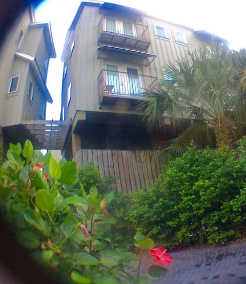 Tropical landscape, looking up at our balcony