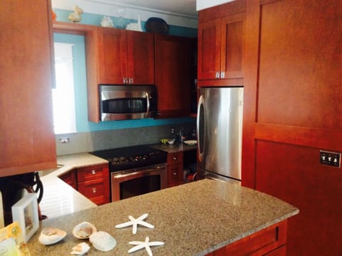 Gourmet kitchen, granite and stainless