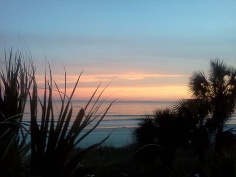 Lovely sunset