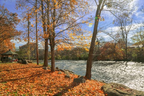 The Little Pigeon River Provides A Scenic & Tranquil Backdrop