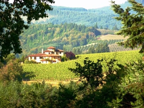  Casi Cielo: "Almost Heaven" in the Northern Willamette Valley. Gorgeous !