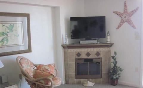 Livingroom Fireplace