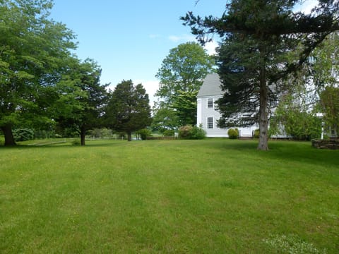 Front lawn