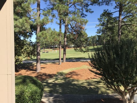 Pinehurst #5- 10 green and 11 tee view from rear