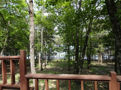 Short Easy Walk to the Water's Edge