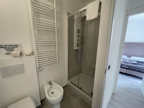 Classic Double Room | Bathroom | Shower, free toiletries, hair dryer, bidet
