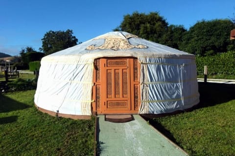 Yurt / Ger - Wacky Stays, Kaikoura, NZ