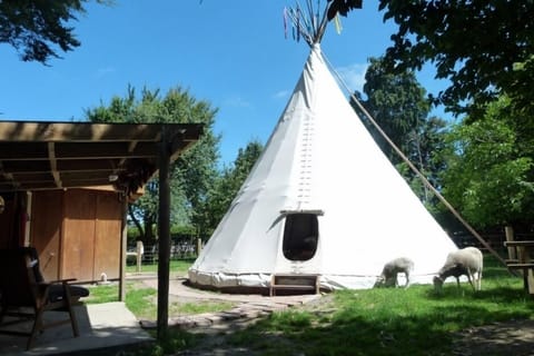 Tipi / Teepee - Wacky Stays, Kaikoura, NZ