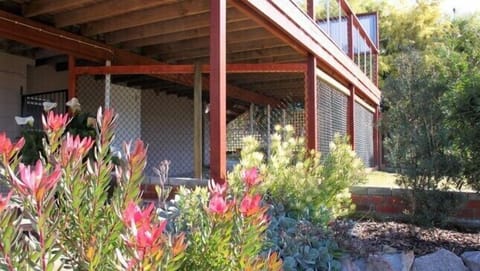 Really safe pet friendly area