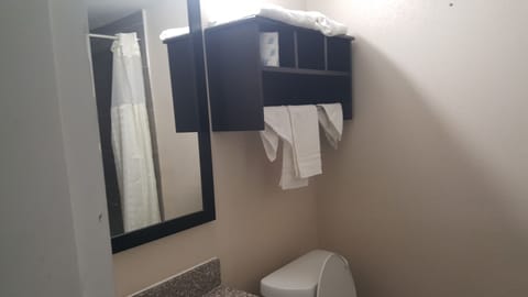 Combined shower/tub, free toiletries, hair dryer, towels