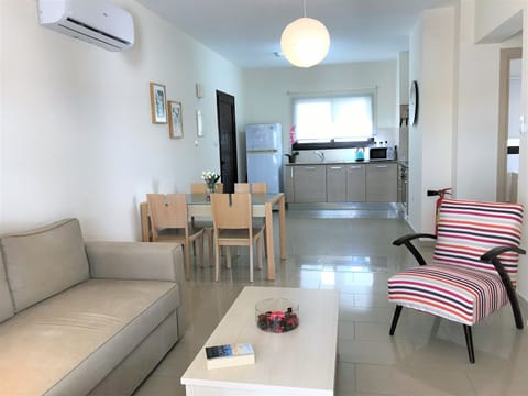 Open plan area of the apartment