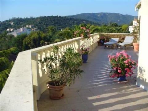 Terrace / Balcony