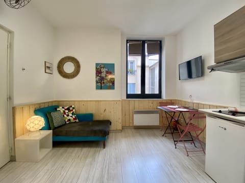 LE DECOR - Apartment Lyon, very central and well decorated Apartment in Lyon