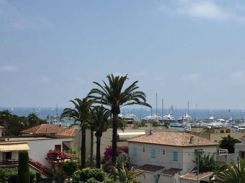 View from terrace and balcony 
