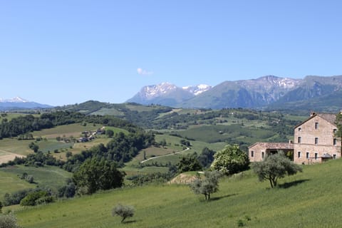 view