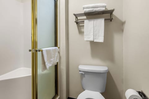 Combined shower/tub, free toiletries, towels