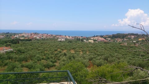 View from the Veranda