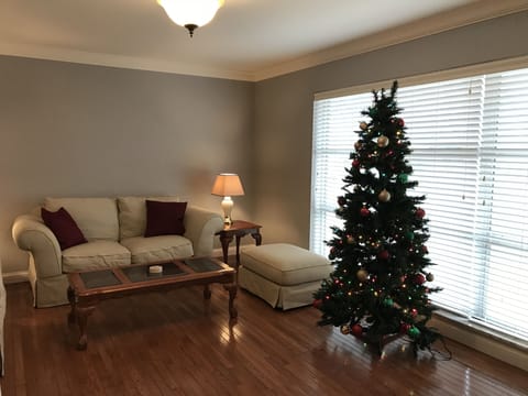 Family room at Christmas time!