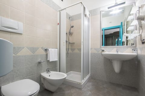 Shower, hair dryer, bathrobes, bidet