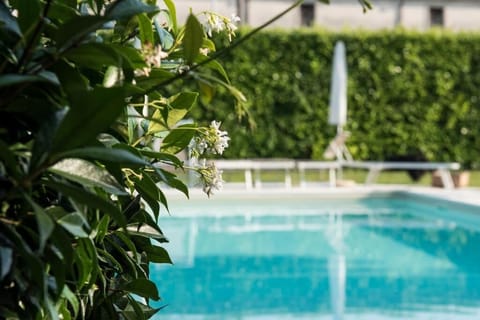 Outdoor pool, open 9:30 AM to 7:30 PM, sun loungers