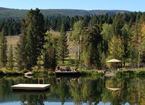 Summer Pond, dock and deck