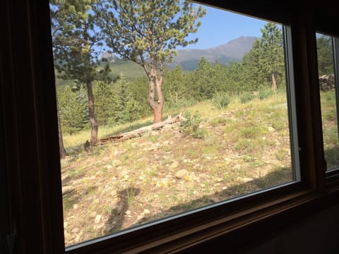 View from living room