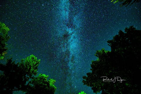 Brilliant starry nights.