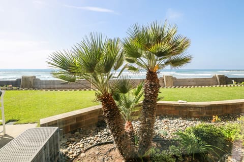 View from the Primary bedroom window