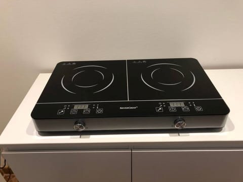 Relaxing historic villa,  cycle path to the city center, lake, Valpolicella  Apartment in Veneto