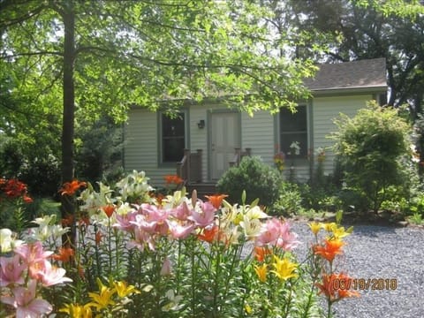 The Yellow Cottage on Harness Creek