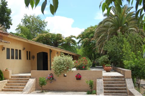 Private parking, surrounded by fruit trees, palms and private gardens