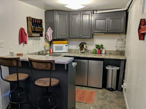 Downstairs Bar/Ktichenette