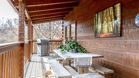 Picnic Table and Propane Grill