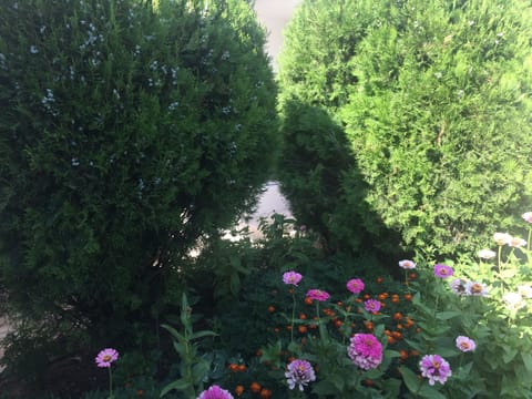 Economy Quadruple Room, Multiple Beds, Non Smoking, Garden View | Garden