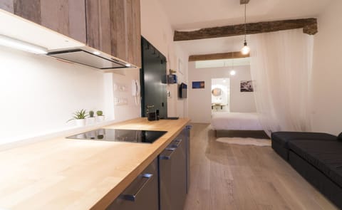 Studio | Private kitchen | Full-size fridge, microwave, stovetop, dishwasher