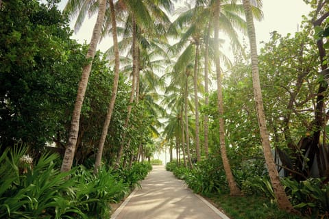 Beach nearby, sun loungers, beach towels