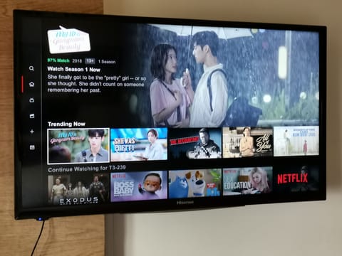 Television