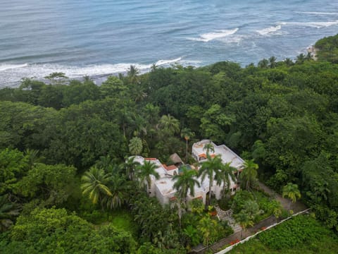 Bird View_1