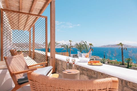 Beach/ocean view