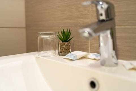 Shower, hydromassage showerhead, free toiletries, hair dryer