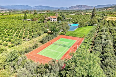 Sport court