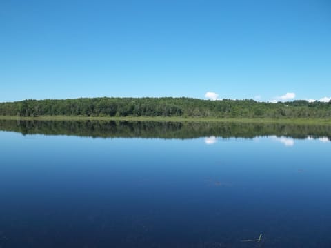 Mainstream Pond in the Fall