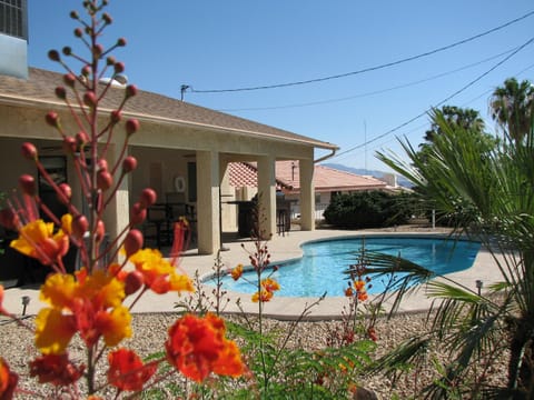 Relaxing back yard with pool